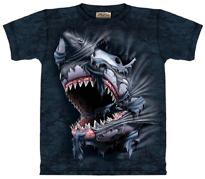 Breakthrough Shark