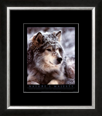 Buy Timber Wolf at AllPosters.com