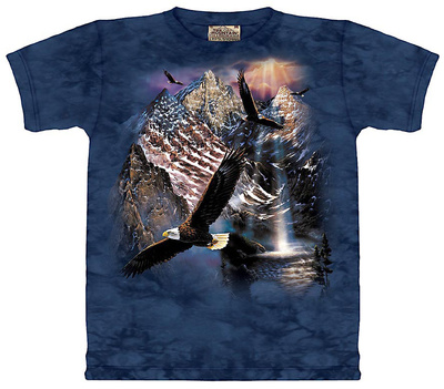 Reflections of Freedom