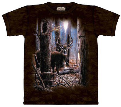 Woodland Buck