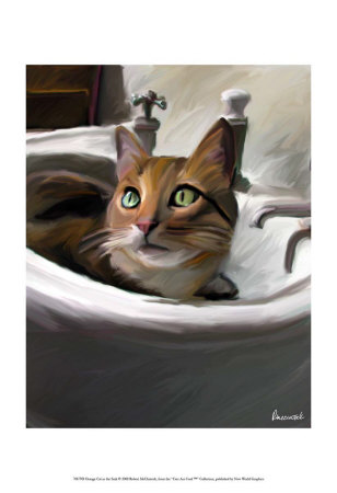 Orange Cat in the Sink