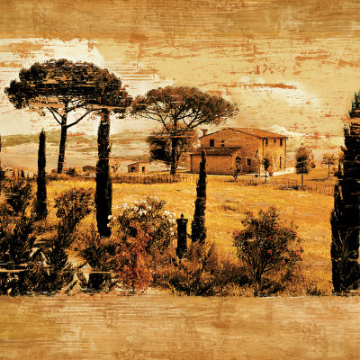 Tuscan Countryside I