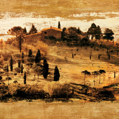 Tuscan Countryside II