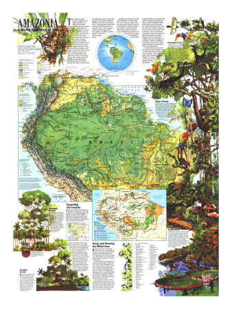 Amazonia, A World Resource At Risk Map 1992