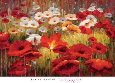 Meadow Poppies II