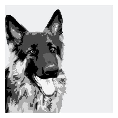 Shepherd