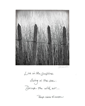 Buy Beach Fence at AllPosters.com