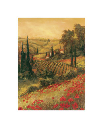 Toscano Valley I