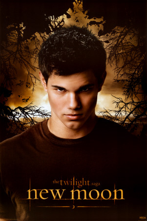 Twilight - New Moon