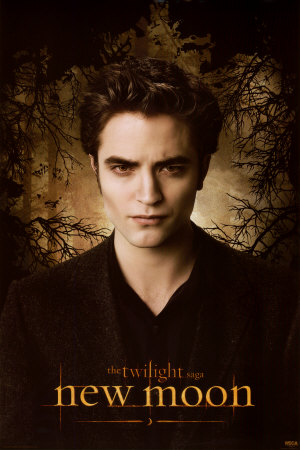 Twilight - New Moon