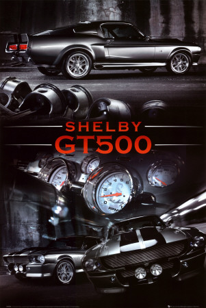 Ford Shelby GT500