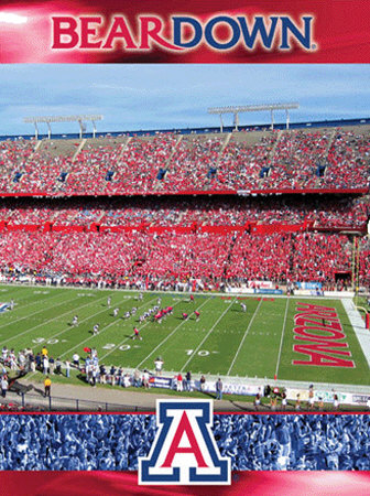 Buy The University of Arizona-Stadium Shot at AllPosters.com