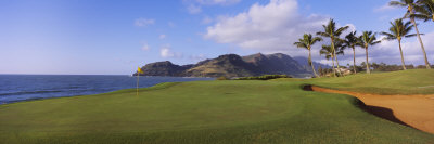 Palm Trees at Seaside, Kiele Course, Number 13, Kauai Lagoons Golf Club, Lihue, Hawaii, USA