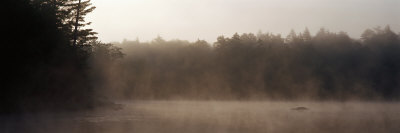Morning Mist Adirondack State Park Old Forge Ny, USA