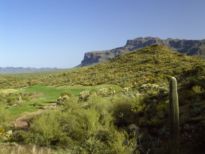 High Angle View of a Golf Course, Gold Camp, Pinal County, Arizona, USA