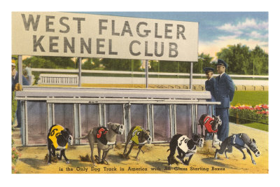 Greyhound Track, Flagler, Florida
