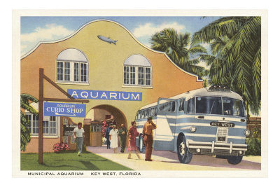 Aquarium, Key West, Florida