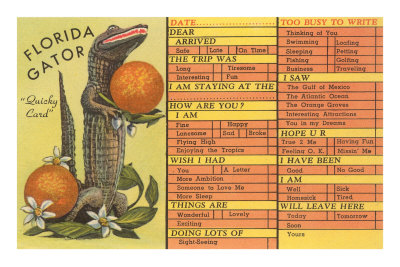 Florida Gator, Survey Card