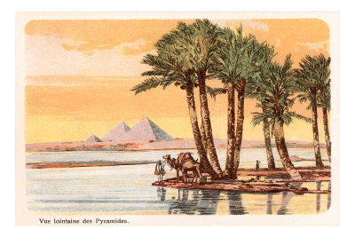 Pyramids from across the Nile, Palms, Camels, Egypt