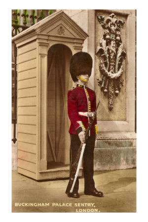 Guard at Buckingham Palace, London, England