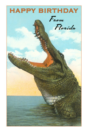 Happy Birthday from Florida, Alligator