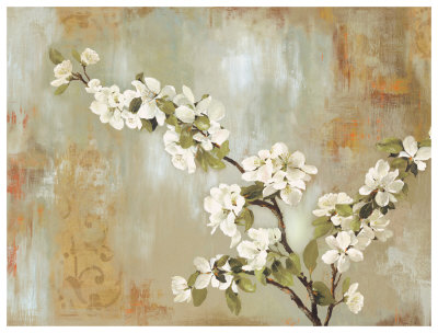 Blossoms in Bloom