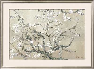 Almond Branches in Bloom, San Remy, c.1890 (tan) Posters