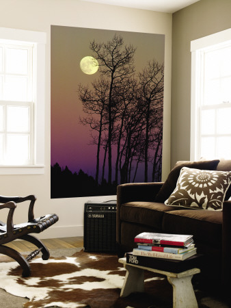Buy A Full Moon Shines on Winters Leafless Branches at AllPosters.com
