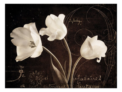 Buy Garden Love Letter II at AllPosters.com