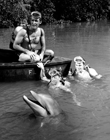 Flipper