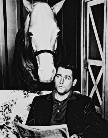 Mr. Ed