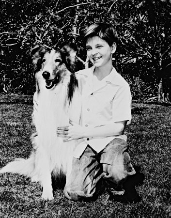Lassie