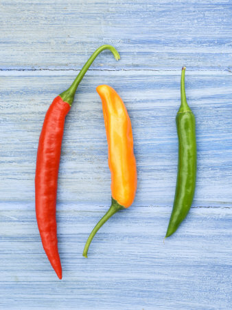 Yellow Red and Green Chilli Peppers Chillies Freshly Harvested on Pale Blue Background
