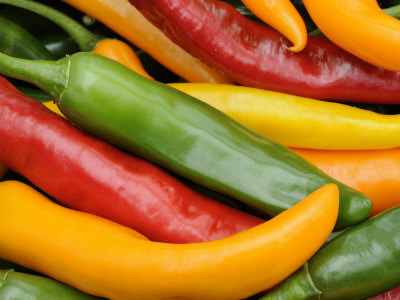 Freshly Picked Red, Green and Yellow Chillies Close Up Shot, UK