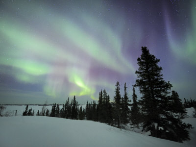 Northern Lights Northwest Territories, March 2008, Canada