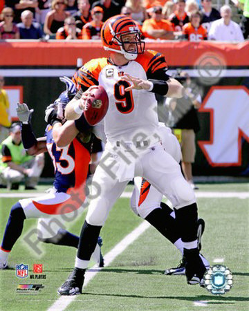 Carson Palmer 2009
