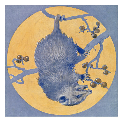 Buy Nature Magazine - View of a Opossum Hanging Upside Down under a Full Moon, c.1926 at AllPosters.com