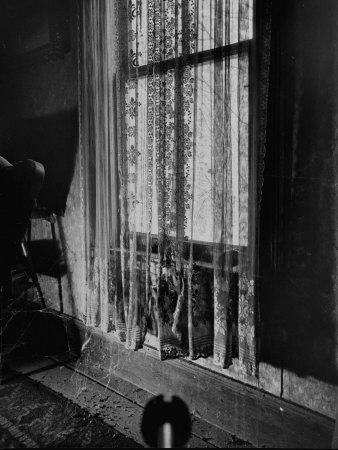 Cobwebs Attached to Curtain at Window in Alleged Mass Murderer Ed Gein