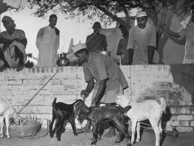 Gandhi Volunteers Tending Mohandas Gandhi