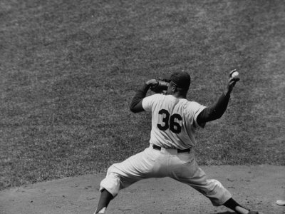 Brooklyn Dodger
