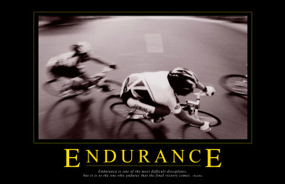 Endurance