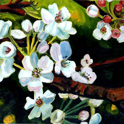 Blossom Lullaby I
