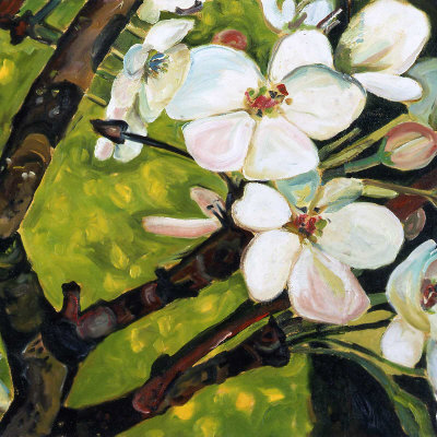 Blossom Rhapsody II