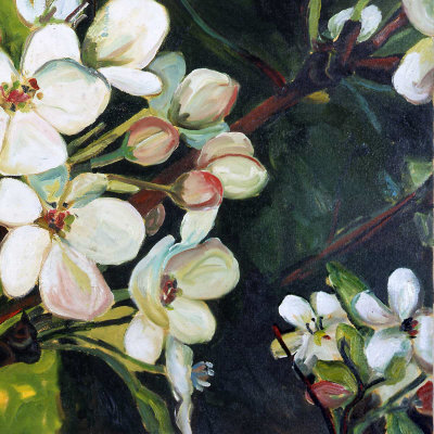Blossom Rhapsody III