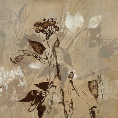 Graphic Beauty I