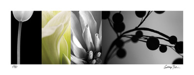 Buy Fusion I at AllPosters.com