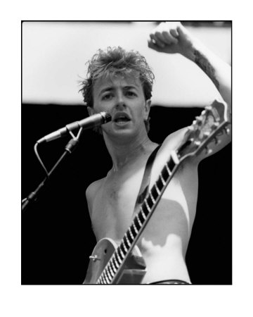 Stray Cats