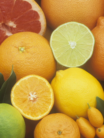 Citrus Fruits: Grapefruit, Lemon, Lime, Tangerine, Tangelo, Orange, Clementine and Kumquat