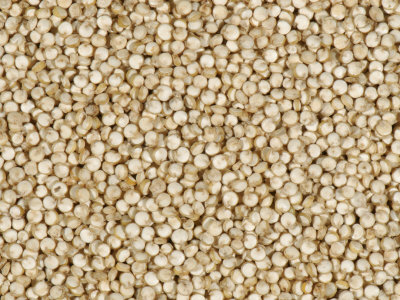 Organic Quinoa Seeds (Chenopodium Quinoa)