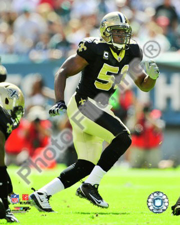 Jonathan Vilma